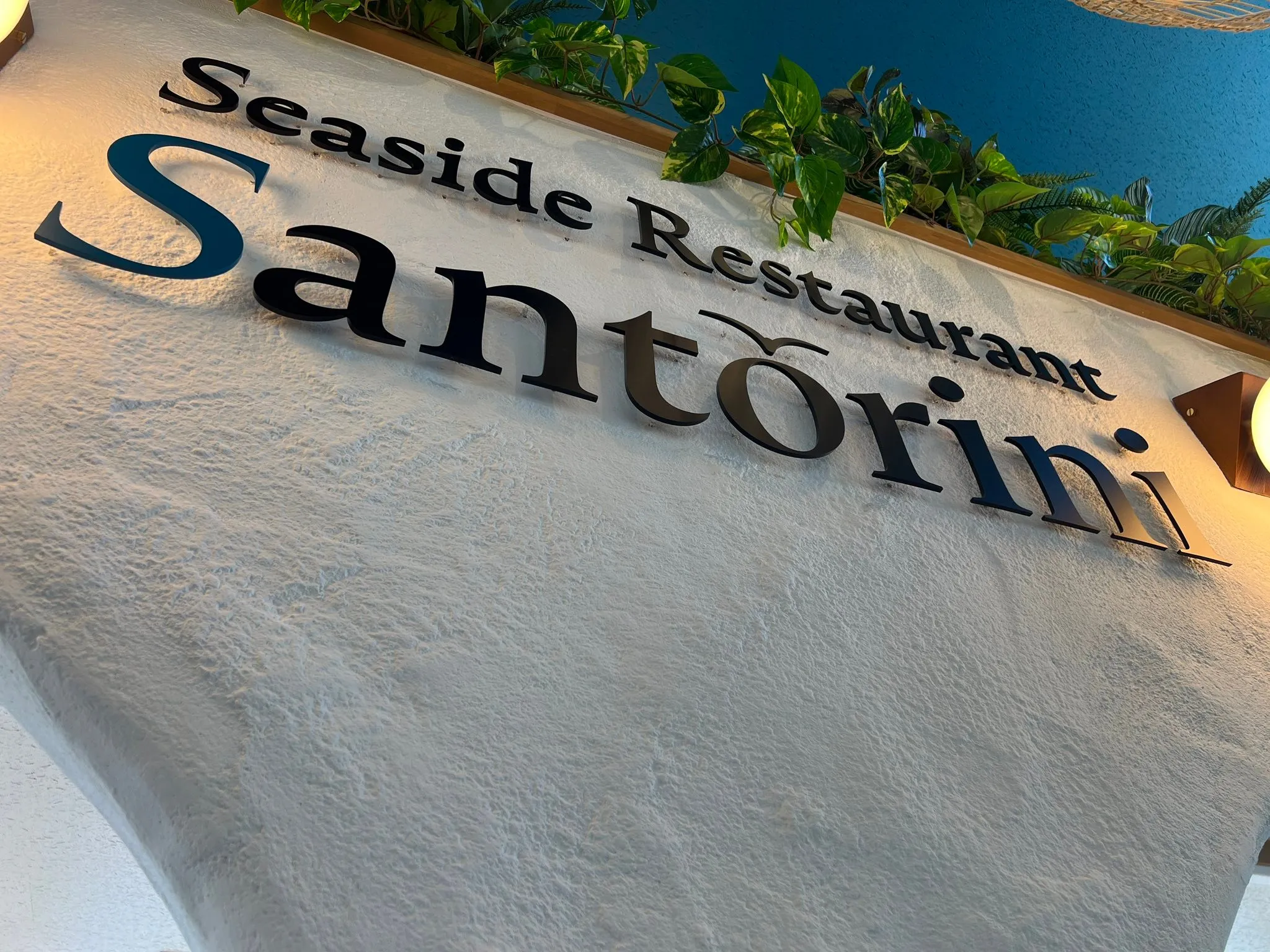 【店舗デザイン】